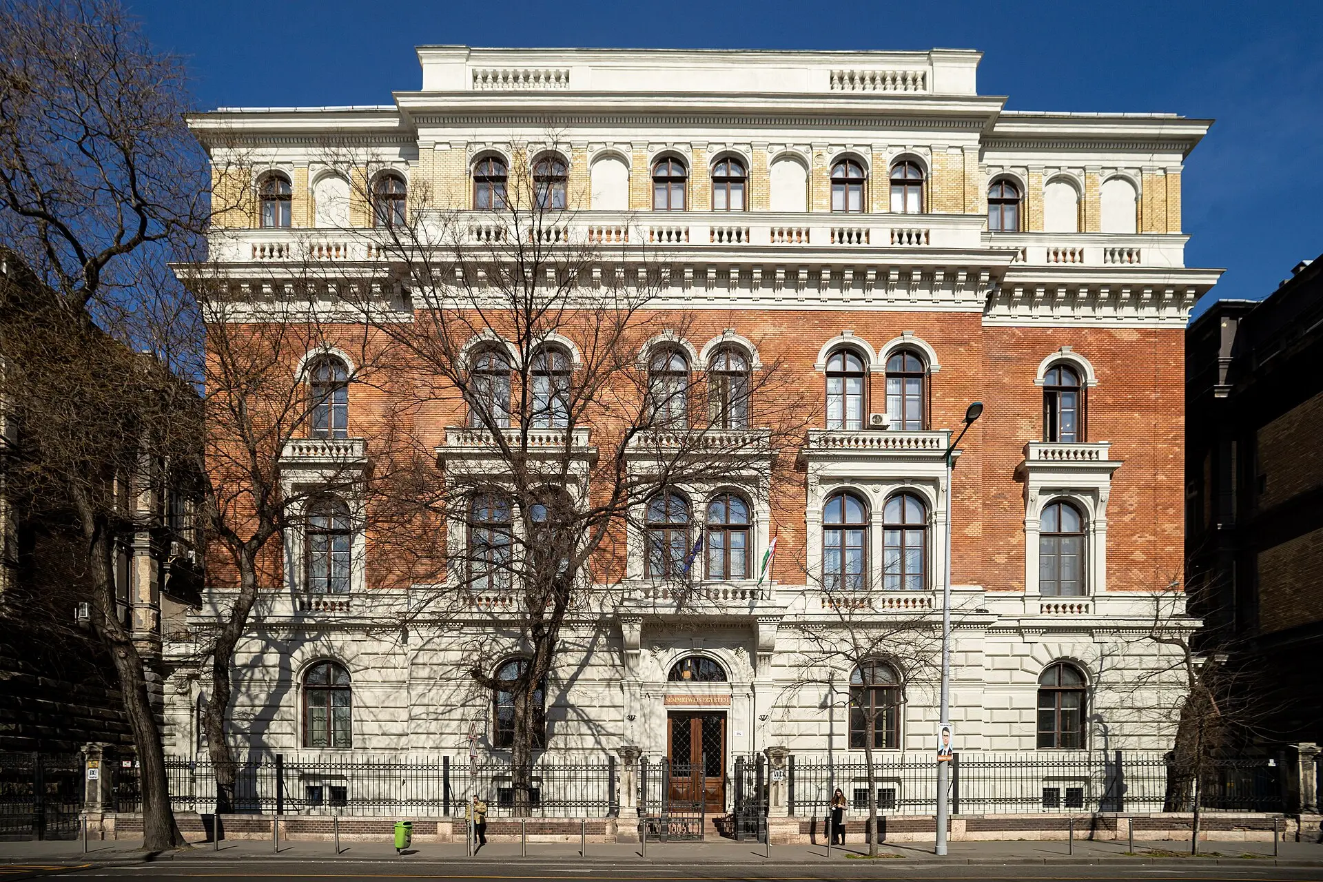Университет Земмельвайса