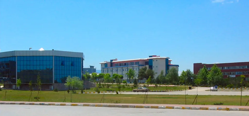 университета Сакарья