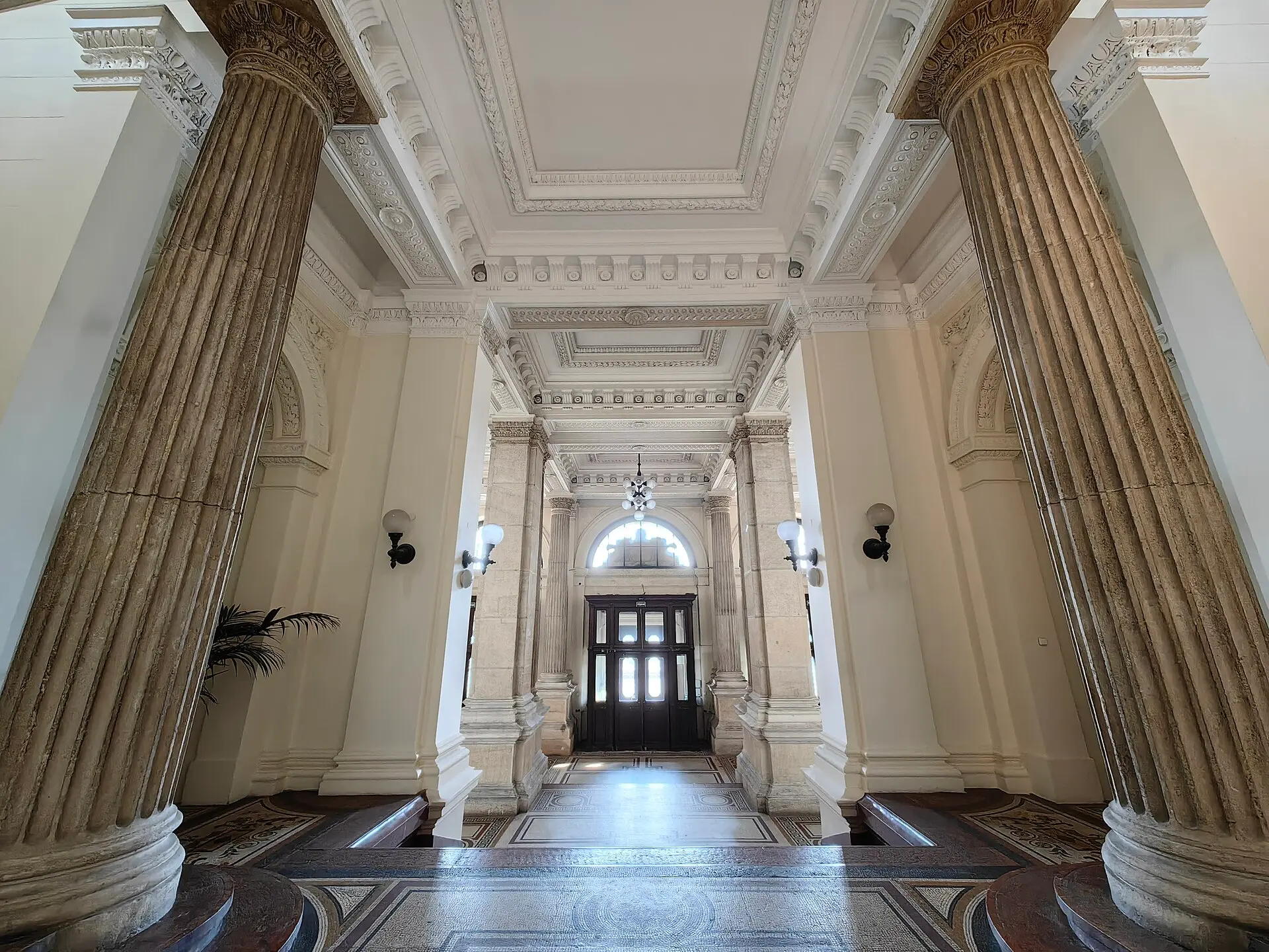Korvin Universiteti — 4