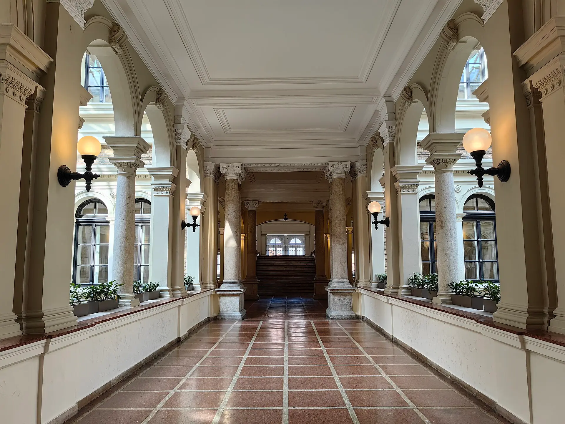 Korvin Universiteti — 5