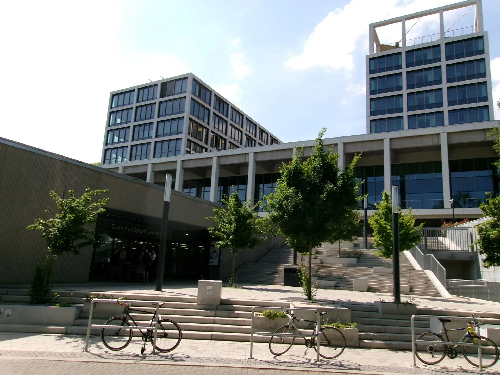 Korvin Universiteti — 6