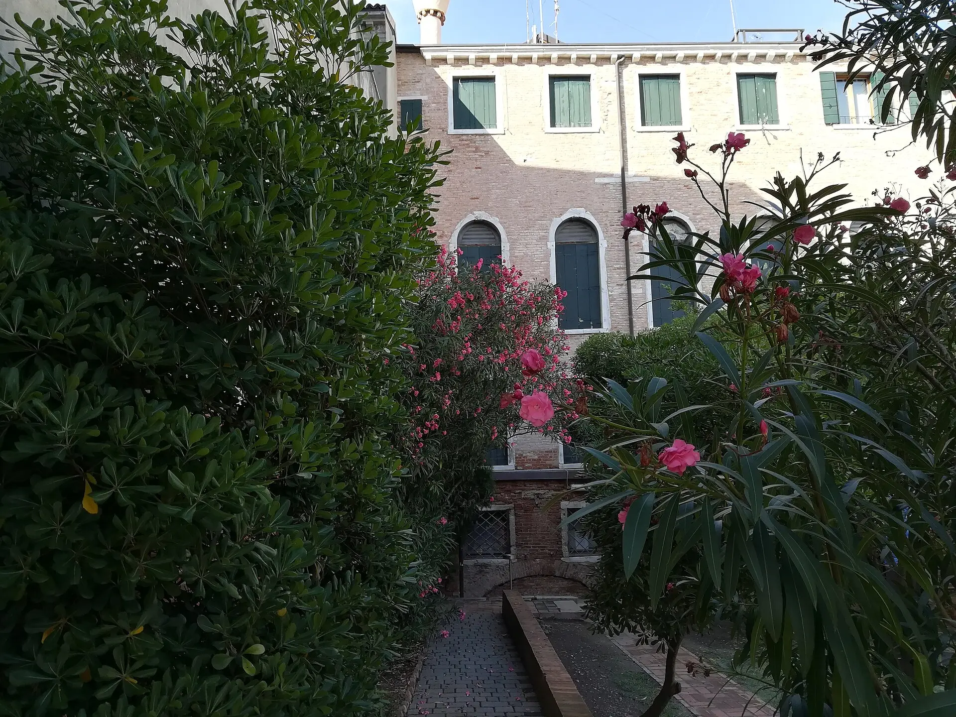 Ka'Foskari universiteti, Venesiya — 6