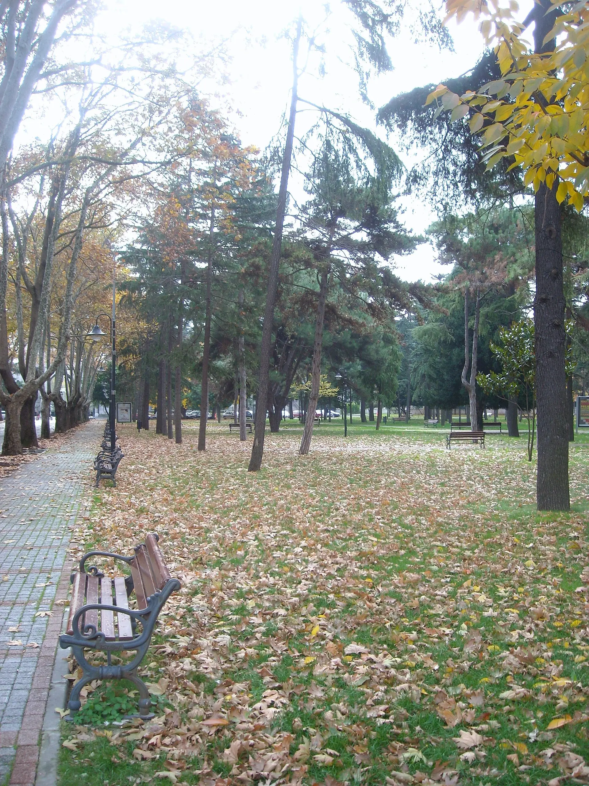 Стамбульский университет — 1
